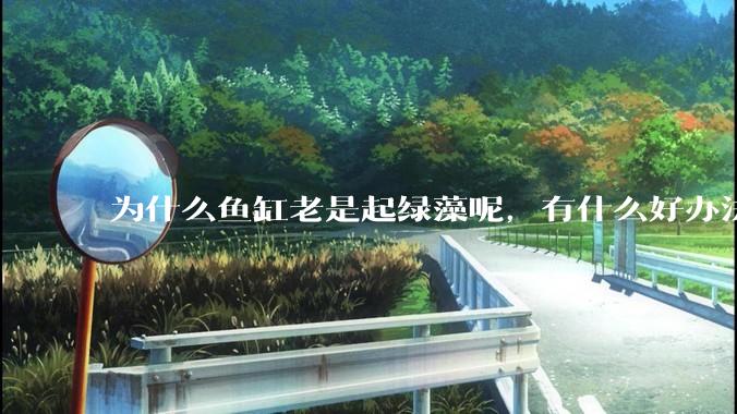 为什么鱼缸老是起绿藻呢，有什么好办法不用整天擦鱼缸？