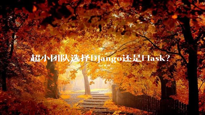 超小团队选择Django还是Flask？