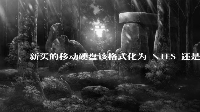 新买的移动硬盘该格式化为 NTFS 还是 exFAT？