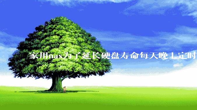 家用nas为了延长硬盘寿命每天晚上定时关机可以么？
