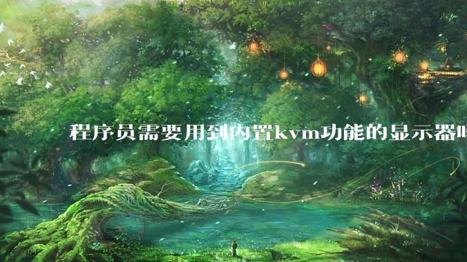 程序员需要用到内置kvm功能的显示器吗？或者是外置的kvm切换器吗？